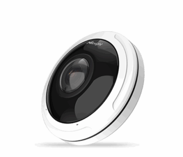 Milesight 12MP Fisheye Camera MS-C9674-PA